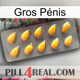 Gros Pénis cialis1